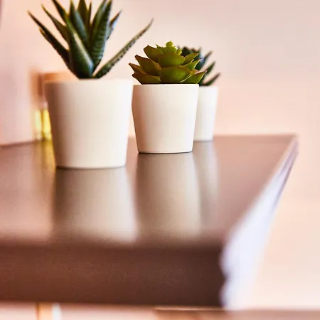 Rm 3 Mignon 1 Personne 3eme Etage 公寓 牟罗兹